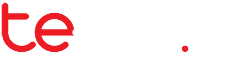 Teem.id Logo